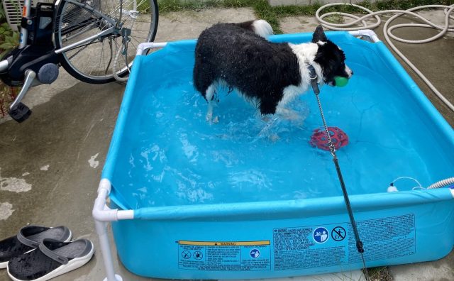 お風呂プール３